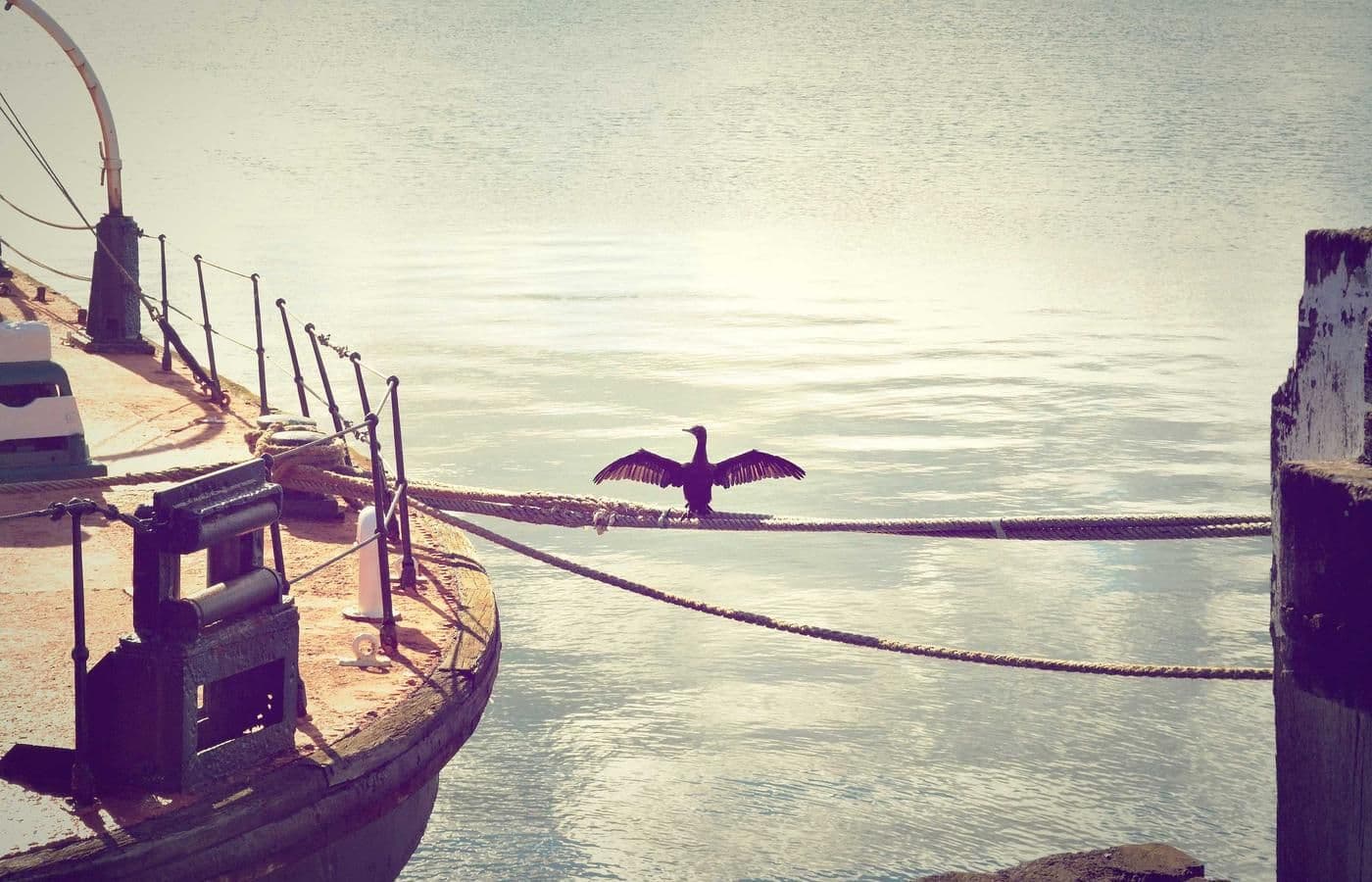 声学演化与三族分化