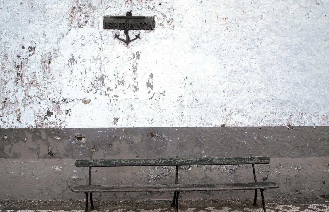 Humani 的工具政治